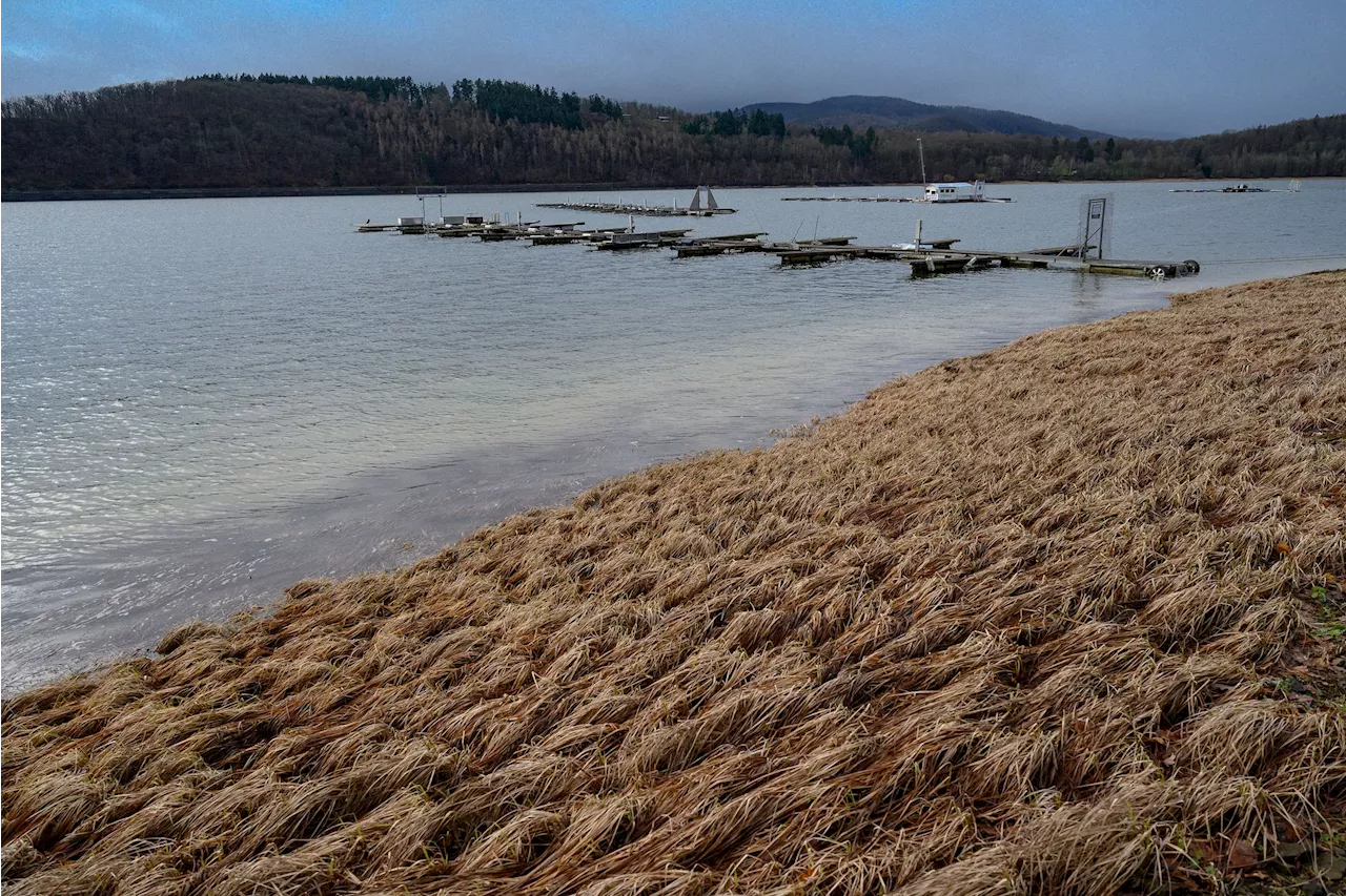 Deutschland erwartet milde Temperaturen und wechselhaftes Wetter