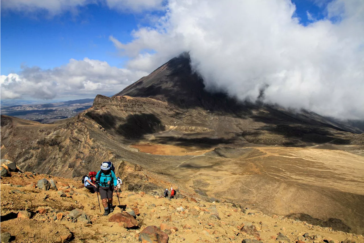 Digitale Nomaden: Neuseeland erlaubt Touristen Fernarbeit