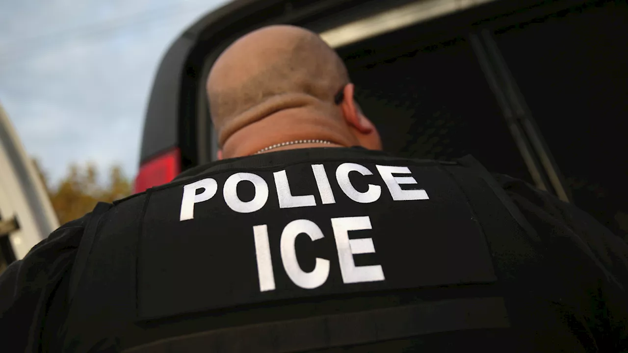 ICE, immigration enforcement officials carrying out operations in Chicago this week