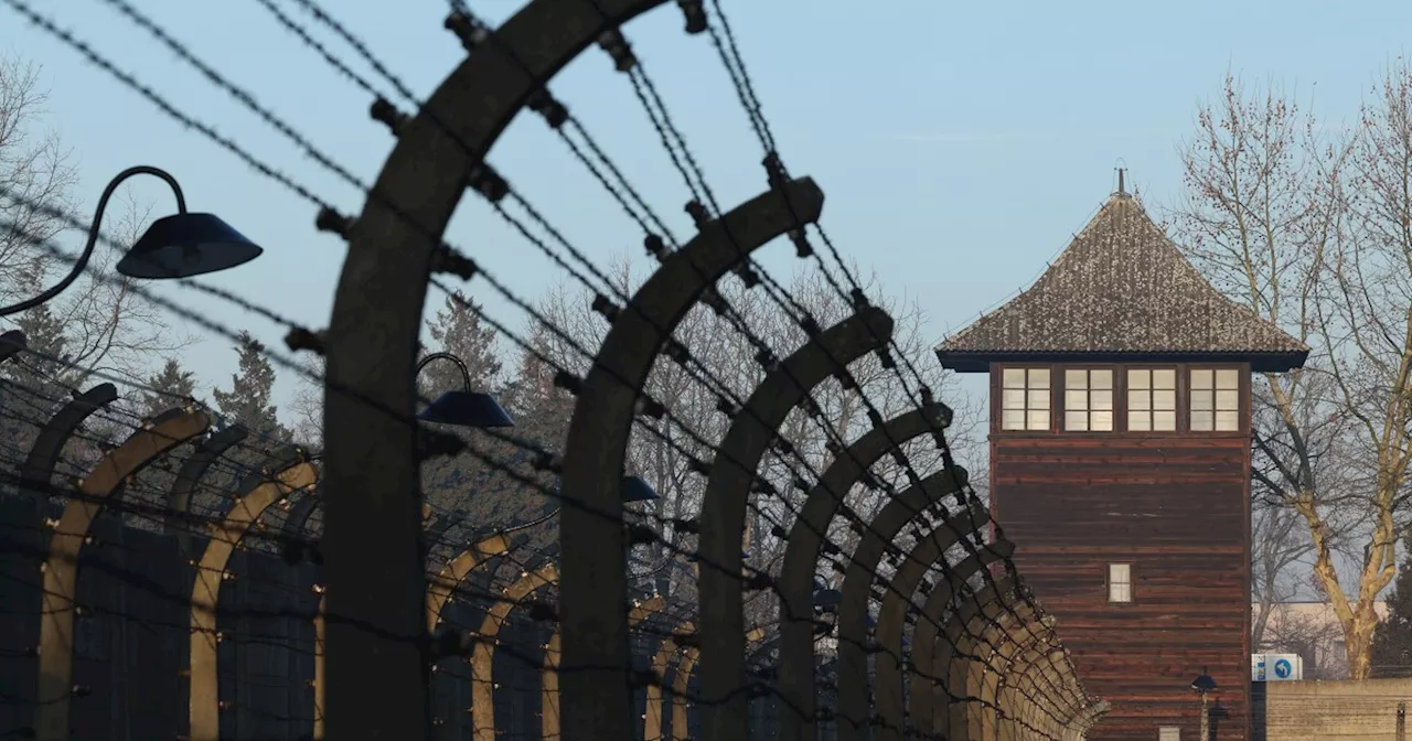 Live updates: Auschwitz liberation 80th anniversary