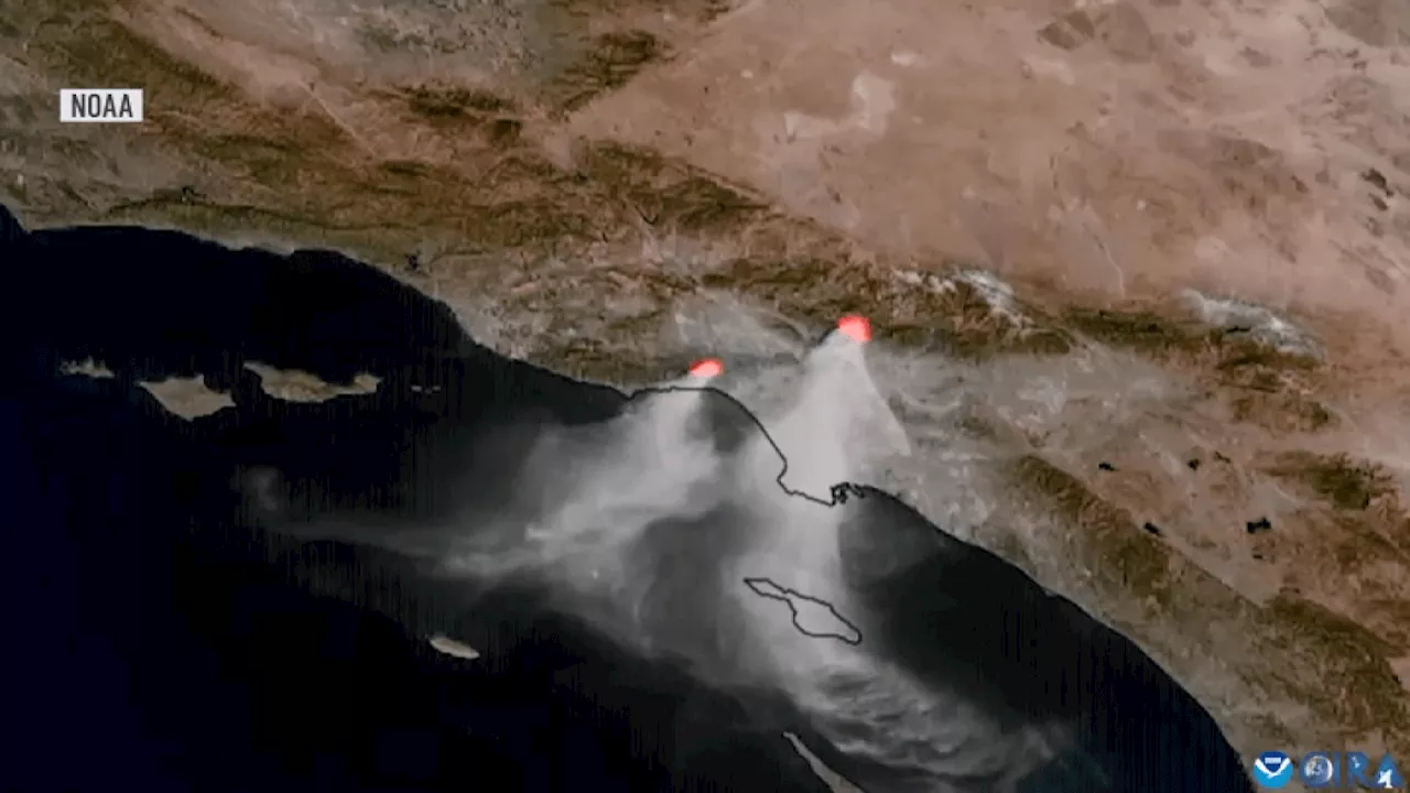 Wildfire Smoke Travels 100 Miles Offshore, Raising Concerns for Ocean Ecosystem