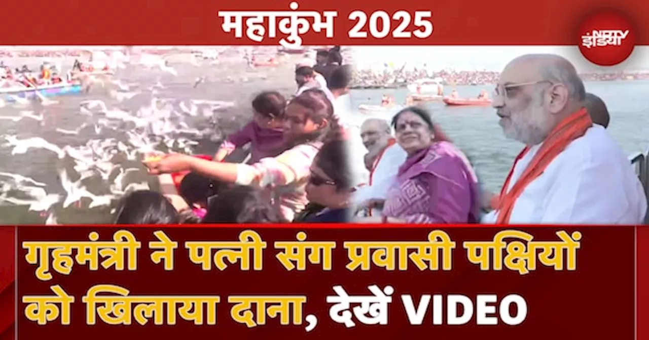 Maha Kumbh 2025: गृहमंत्री Amit Shah पत्नी सोनल शाह के संग प्रवासी पक्षियों को दाना खिलाते आए नजर