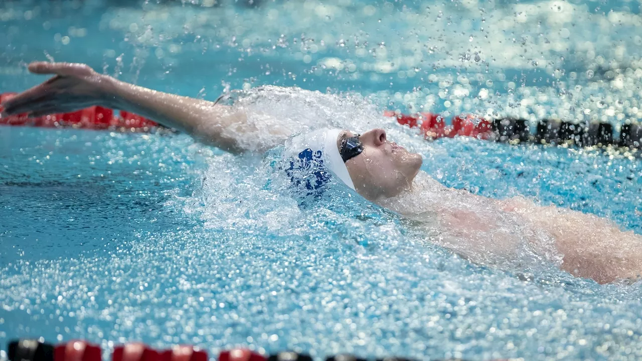 Westfield High School's Swimming Dominance Continues With Fourth Union County Championship