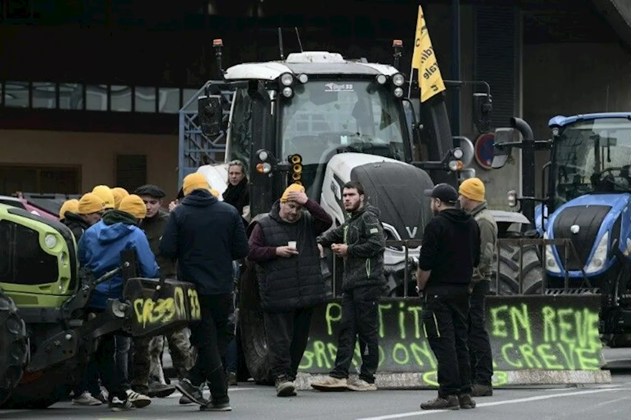 Élection des représentantes des agriculteurs français : un scrutin observé et tendu