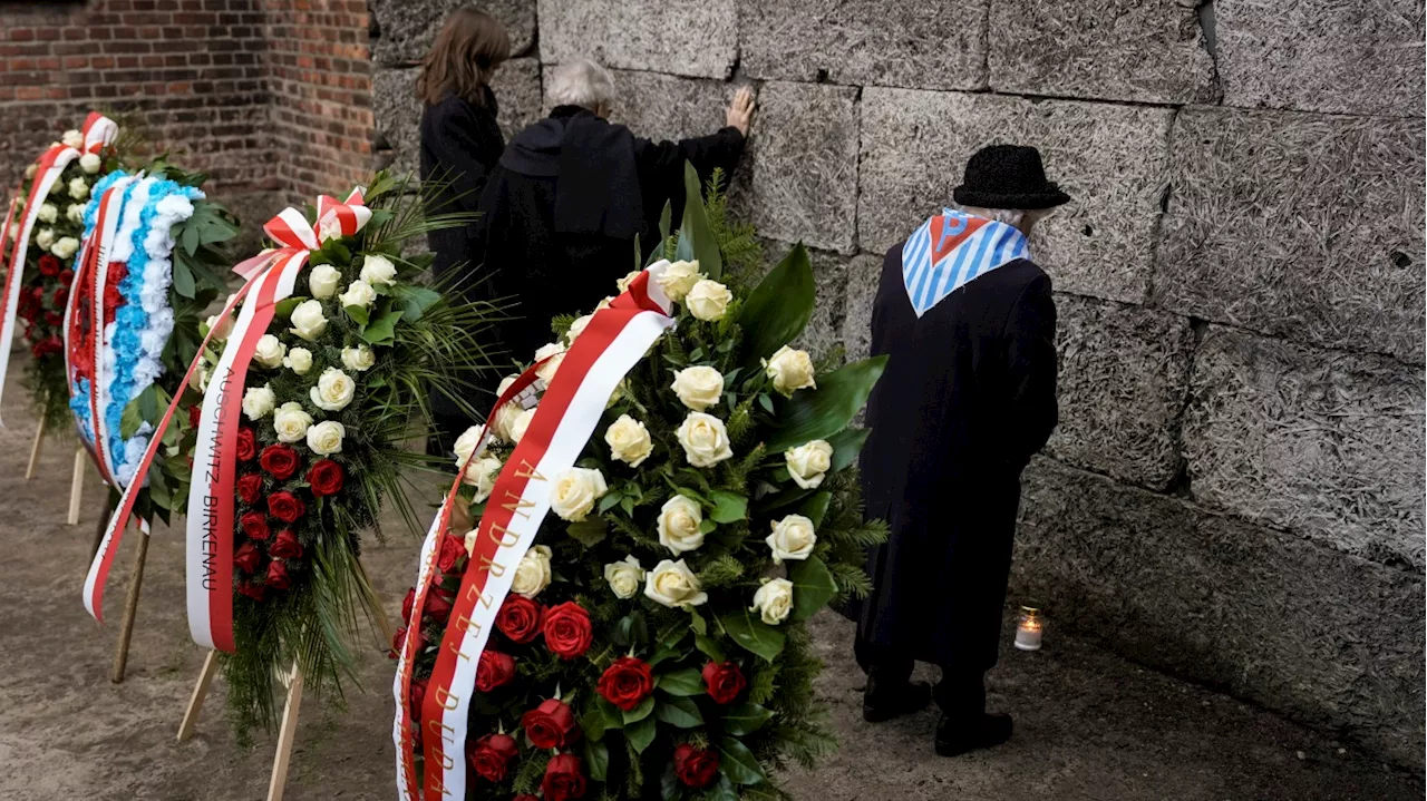 World Leaders Gather at Auschwitz for 80th Liberation Anniversary