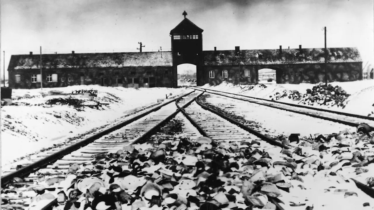 Historiker Piper zum 27. Januar: 'Auschwitz übersteigt jedes menschliche Vorstellungsvermögen'