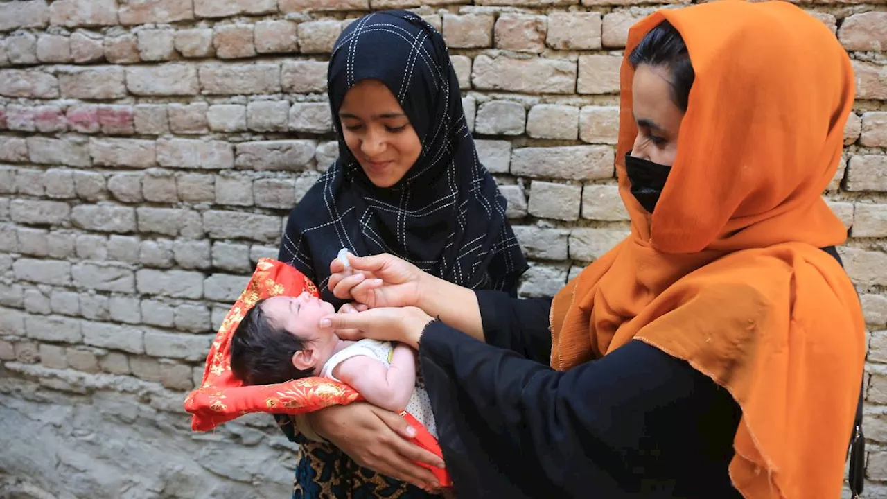 Taliban starten Großkampagne gegen Polio in Afghanistan