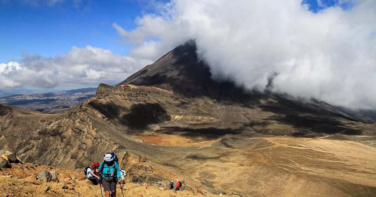 Digitale Nomaden: Neuseeland erlaubt Touristen Fernarbeit