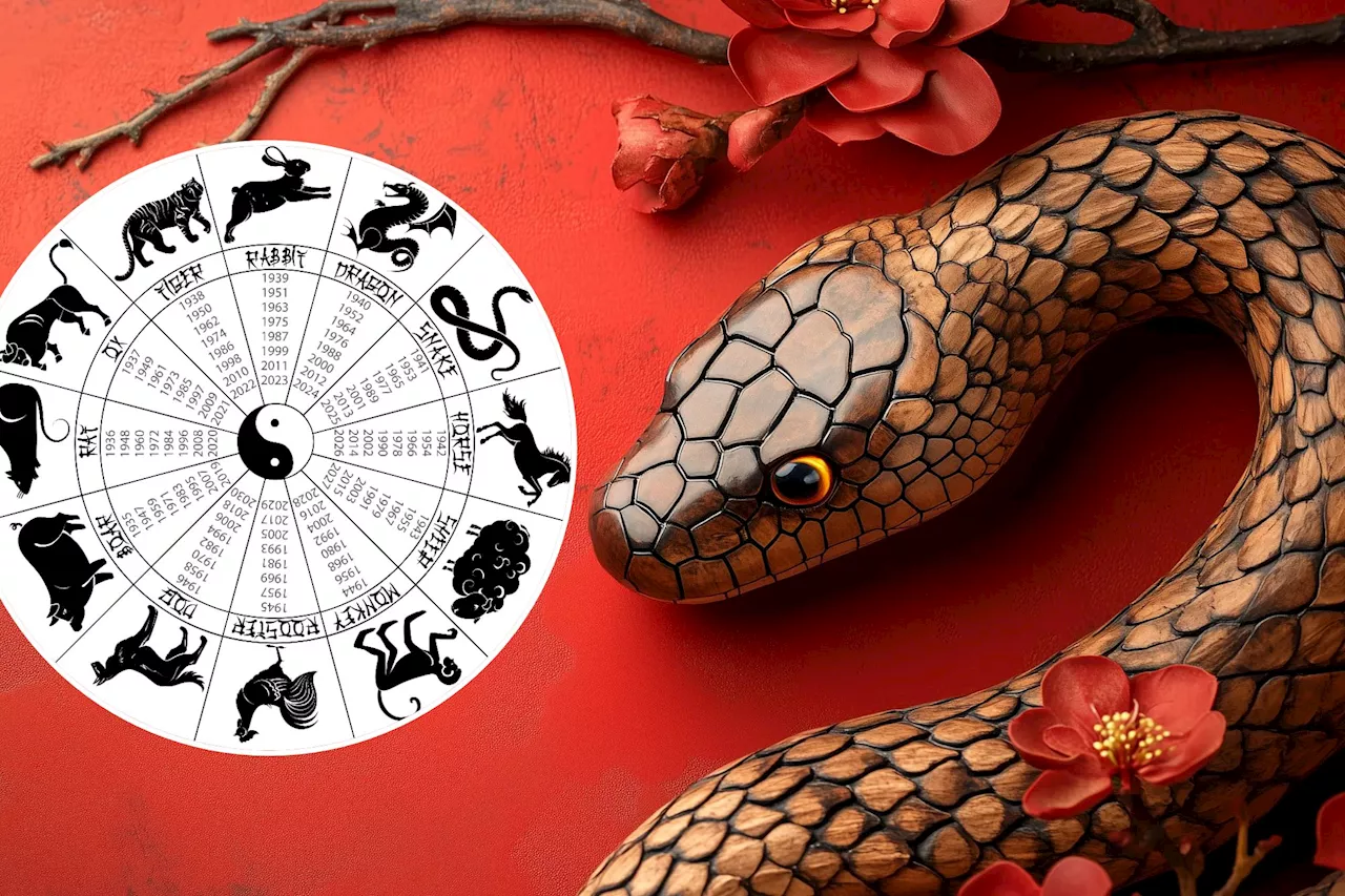 The Year of the Wood Snake: A Time for Transformation and Growth