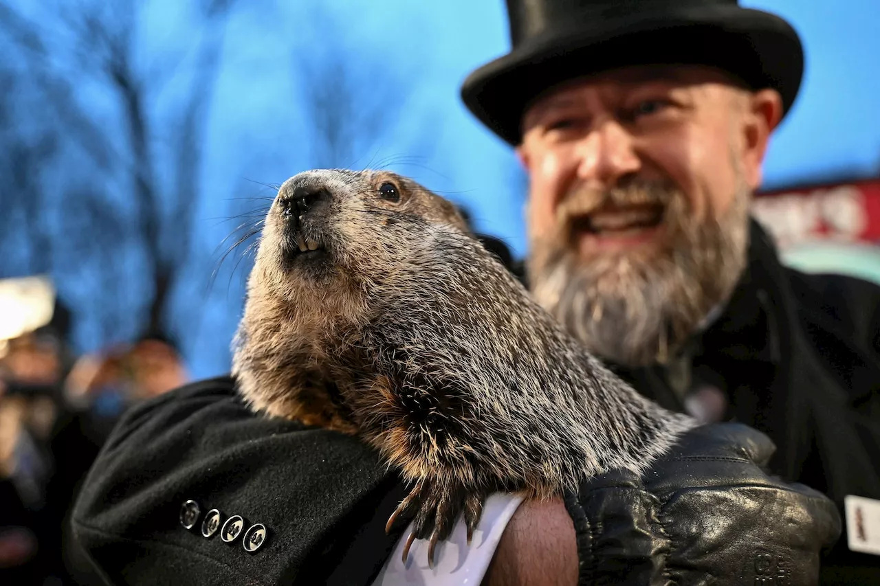 Punxsutawney Phil to Make Groundhog Day Prediction