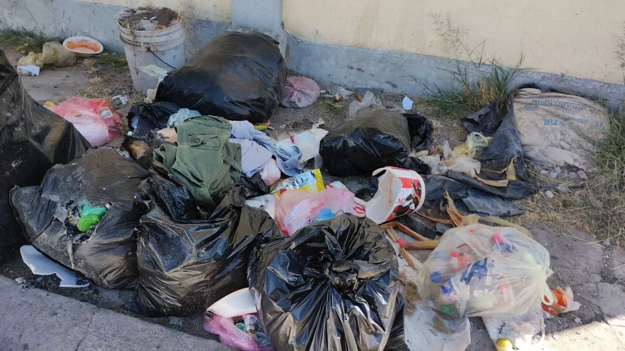 Acumulación de basura provoca molestias y riesgos en colonia Las Carmelitas de Irapuato