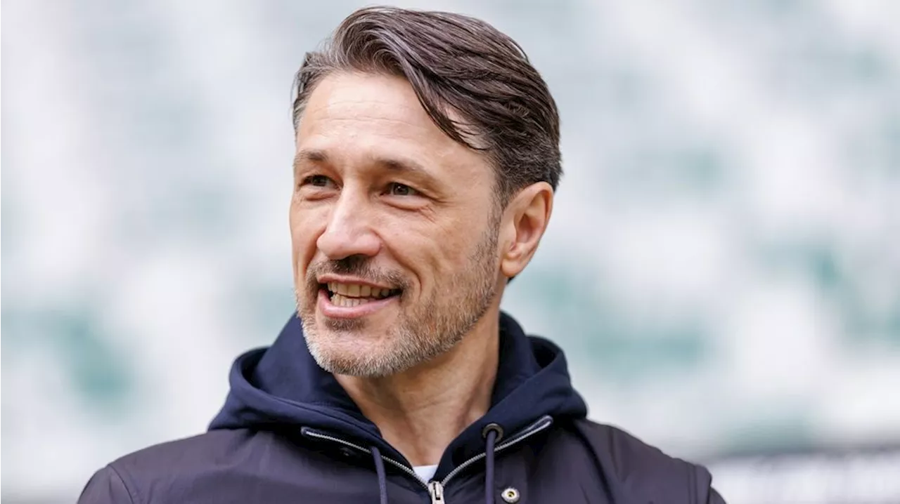 Borussia Dortmund Transfernews: Adeyemi, Kovac und Reyna