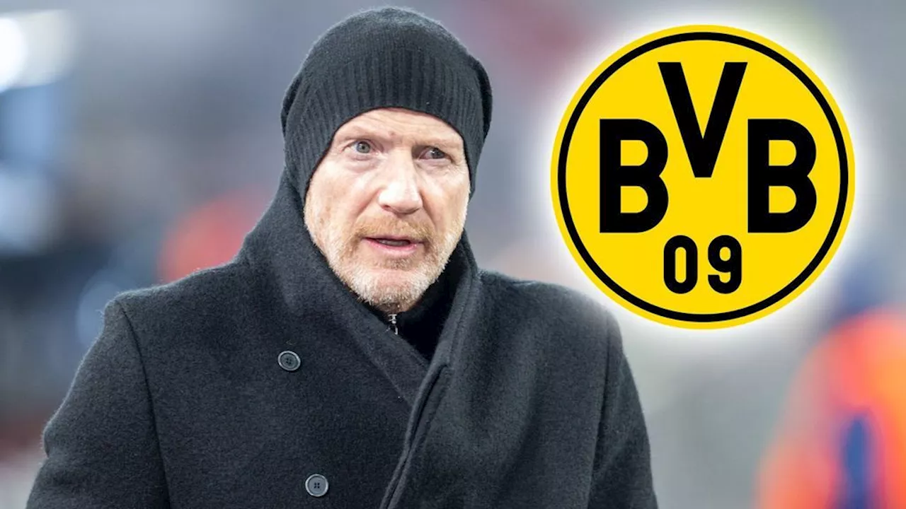 BVB: Warum eine Trainer-Rückkehr von Matthias Sammer ist unrealistisch