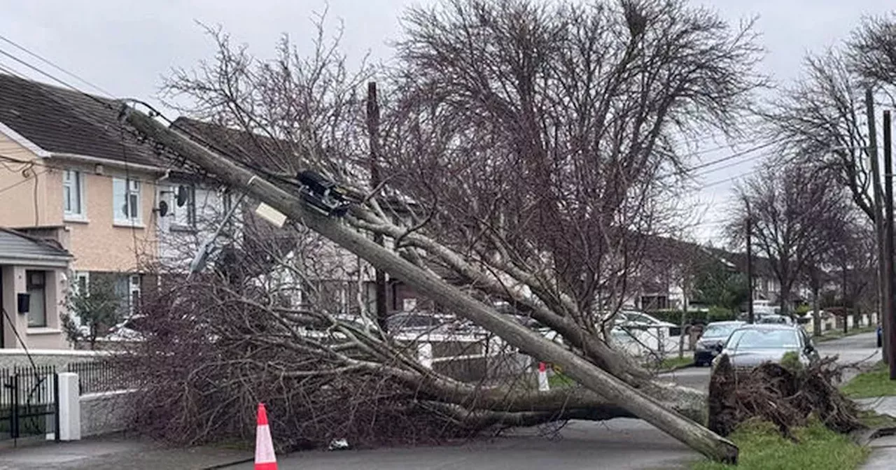 Numerous counties under weather warnings after Storm Herminia in latest update