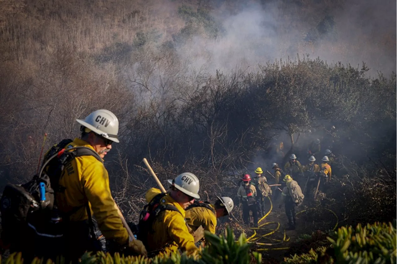 Wild Winds and Wildfires: San Diego Braces Through a Day of Disruptions