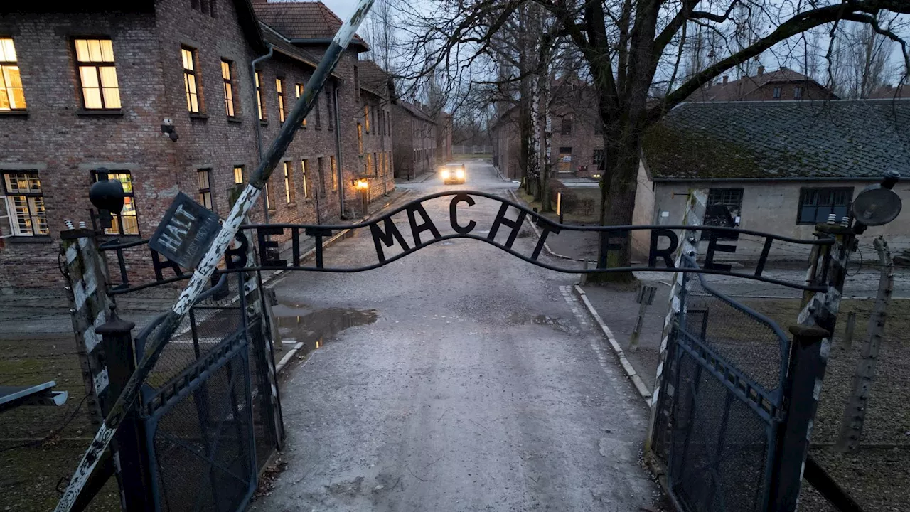 Auschwitz survivor blames 'ignorance' for rise in antisemitism