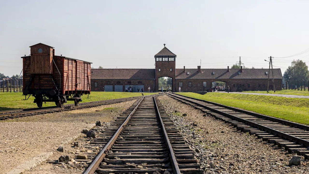 World Leaders Gather at Auschwitz to Mark 80th Anniversary of Liberation