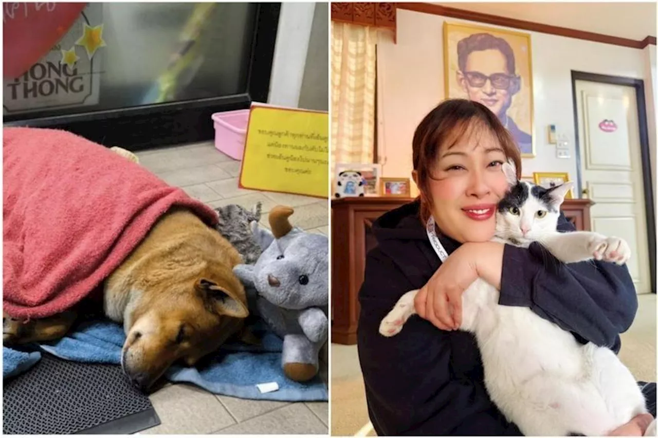 Loyal Thai Dog 'Moo Daeng' Finds New Home With Princess After Owner's Death