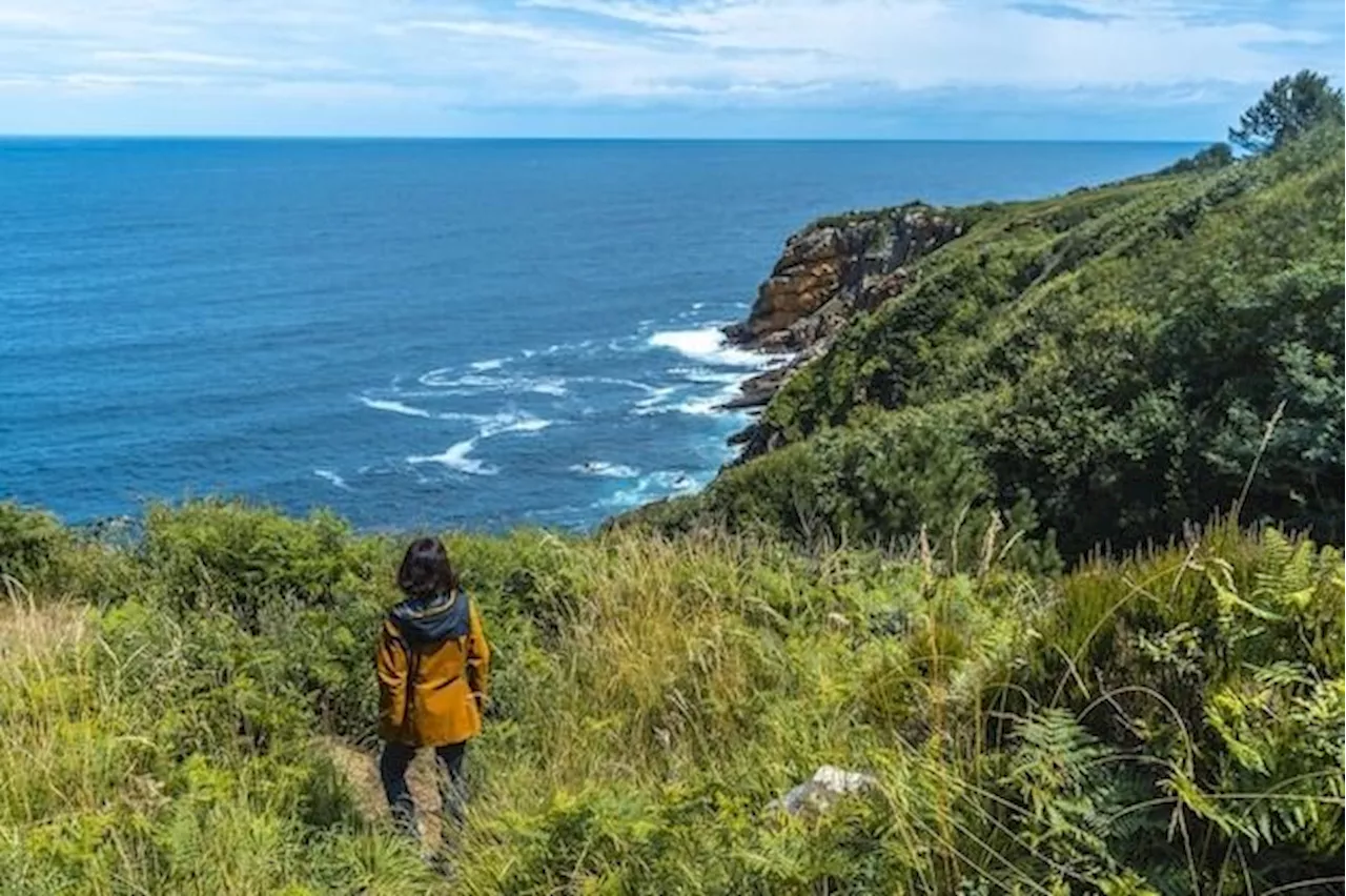 New Zealand Eases Visa Rules to Lure Remote Workers and Boost Tourism