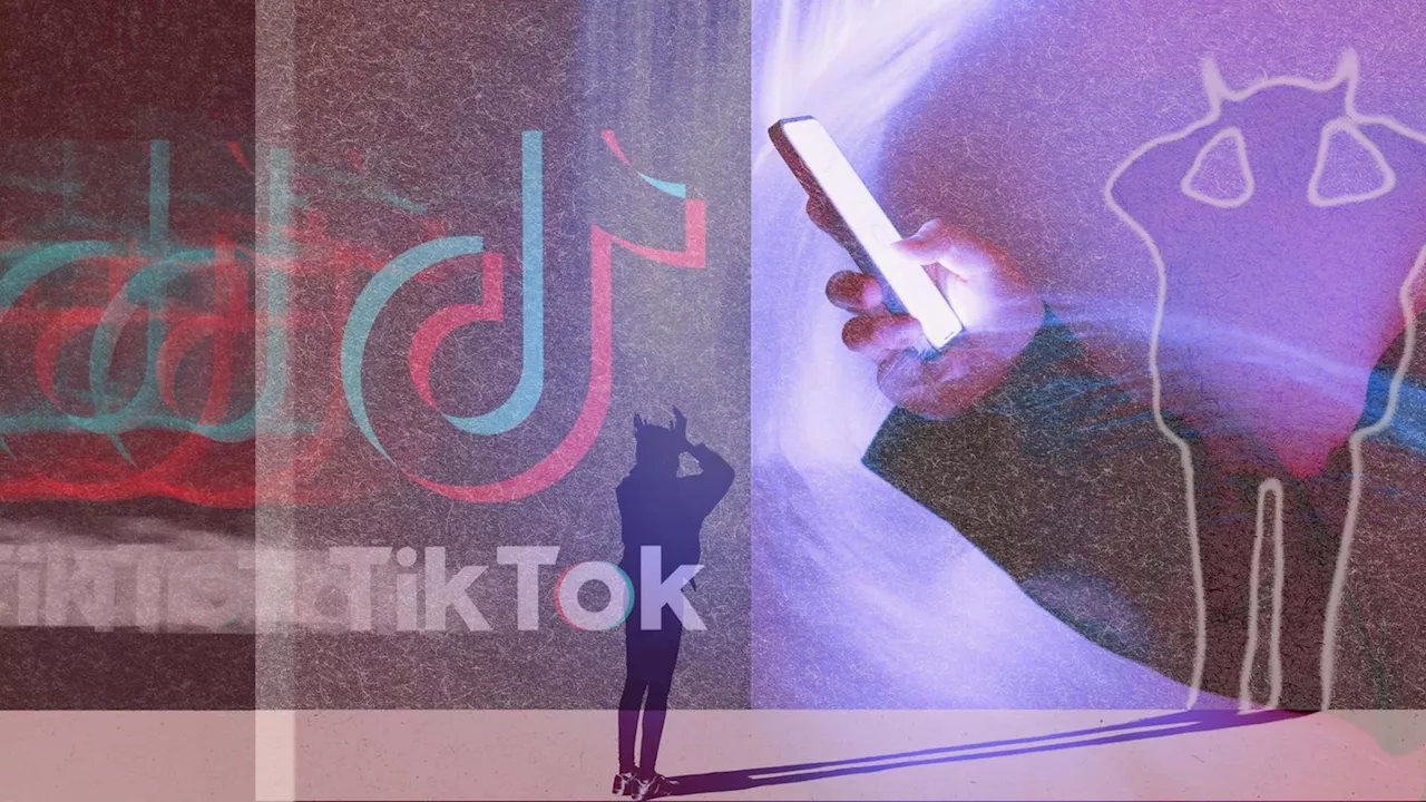 Warum ich Tiktok nicht widerstehen kann. Ein Geständnis