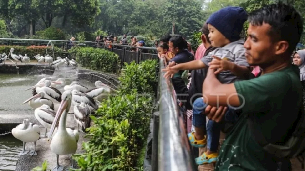 Kunjungan Ragunan Dibayangi Angka Lebih Rendah, Optimistis Tetap Terpenuhi