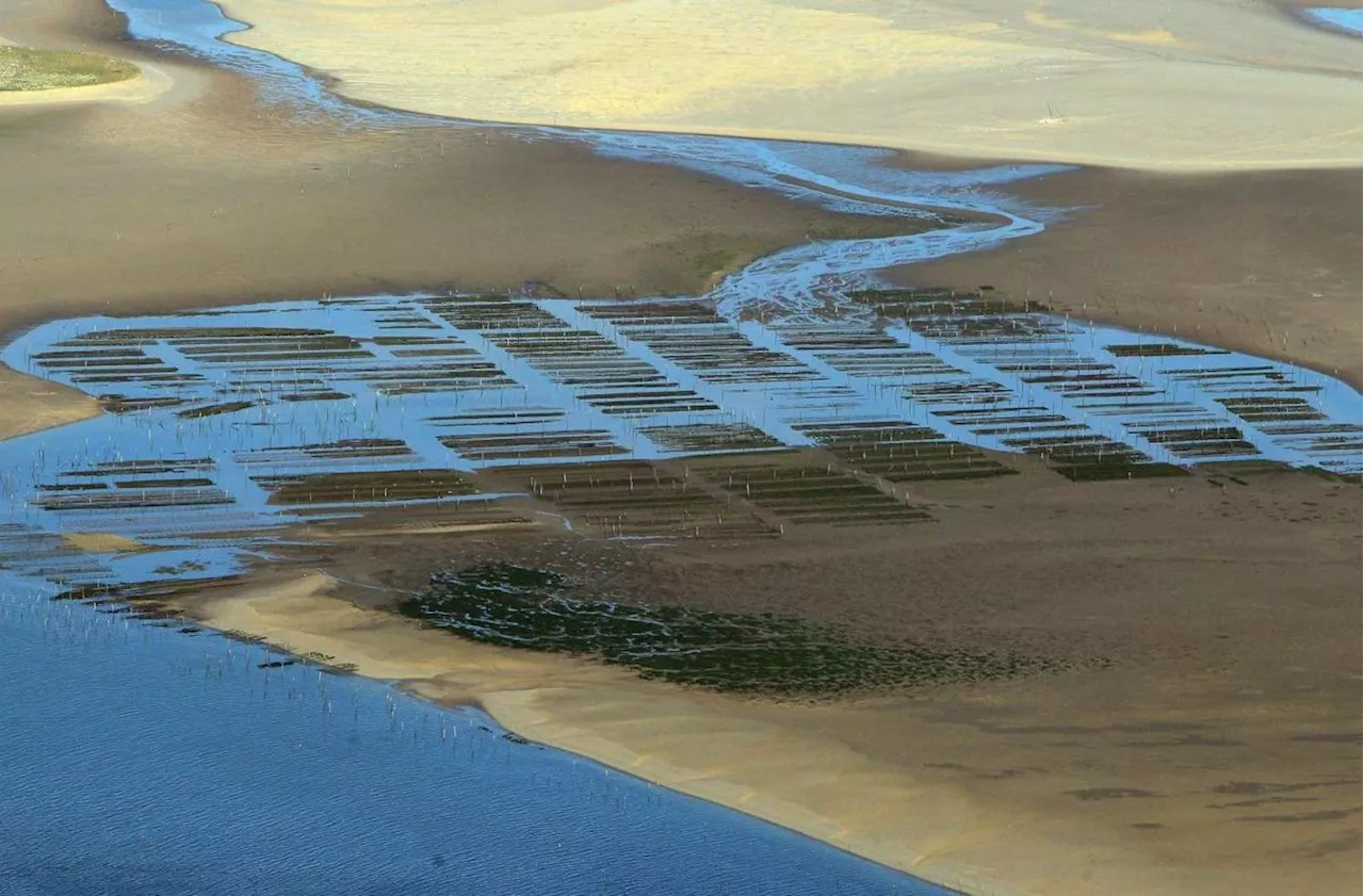 Bassin d'Arcachon : nos plus belles images du banc d'Arguin