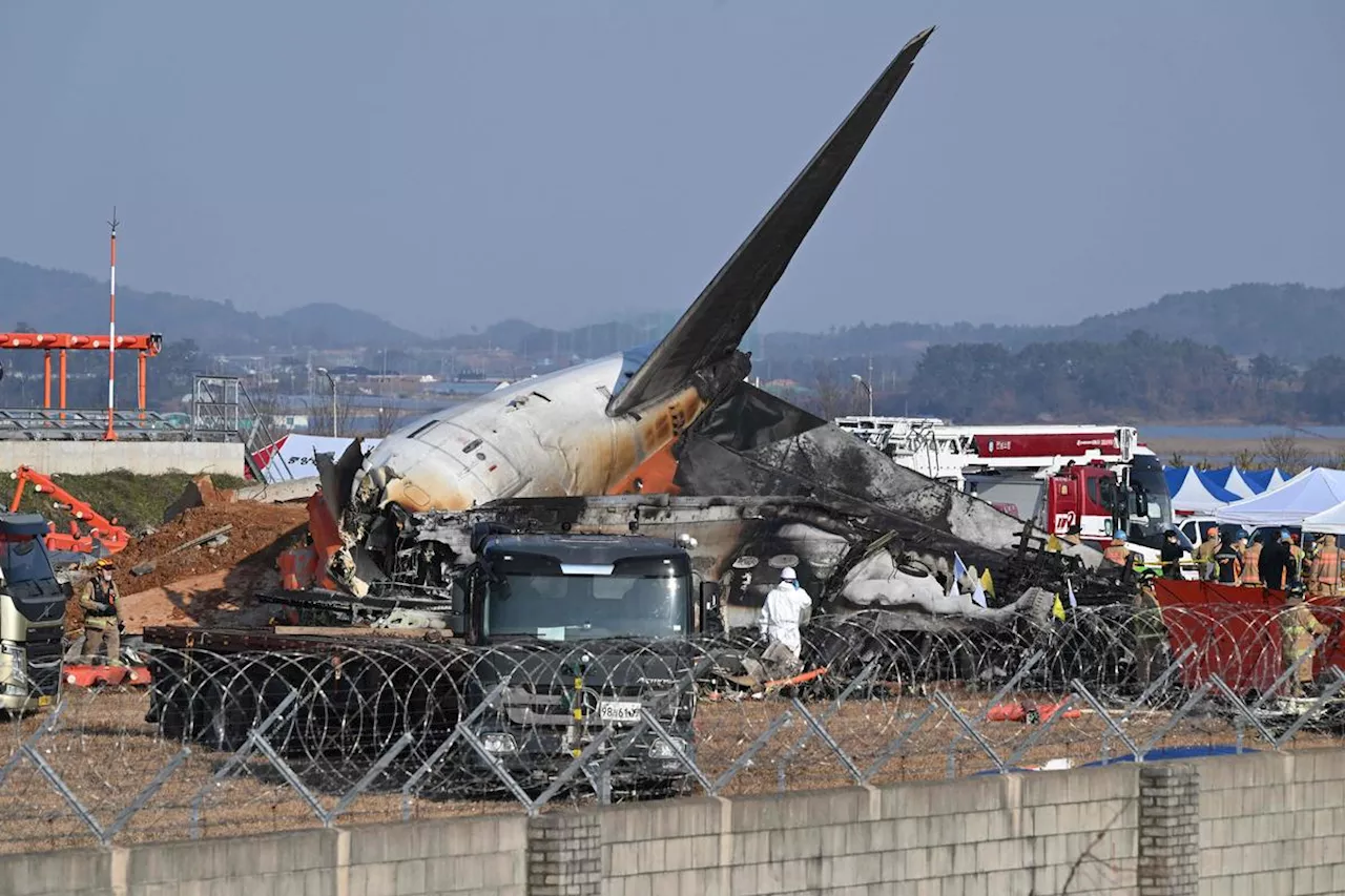 Crash d’avion en Corée du Sud : un rapport confirme la présence de plumes dans les moteurs du Boeing de Jeju Air