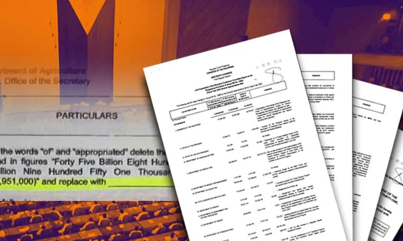 Ex-DBM Sec calls for transparency over missing Bicam report