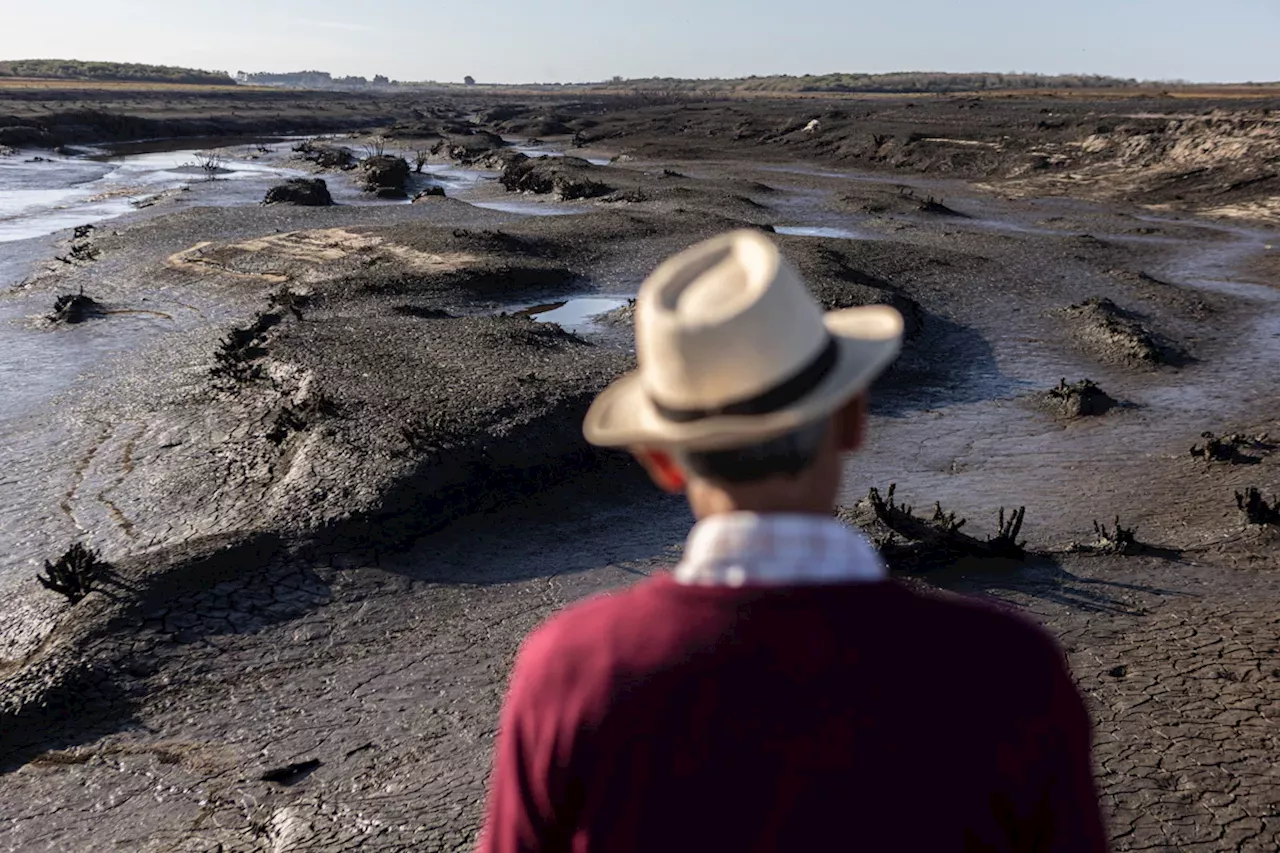 La Niña hat begonnen: Was über das Gegenstück von El Niño bekannt ist