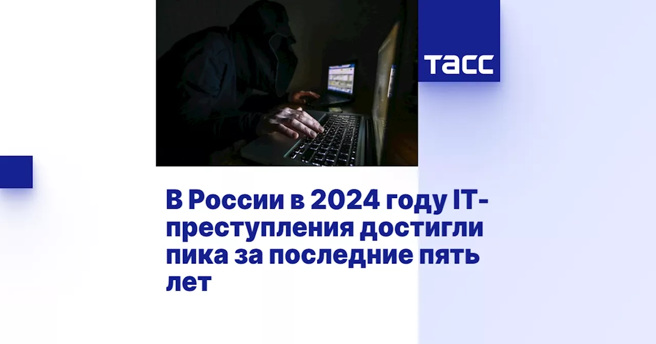 В России в 2024 году IT-преступления достигли пика за последние пять лет