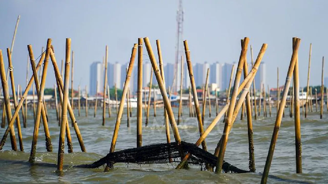 Pemilik Pagar Laut di Tangerang Terbongkar: PT Intan Agung Makmur & PT Cahaya Inti Sentosa