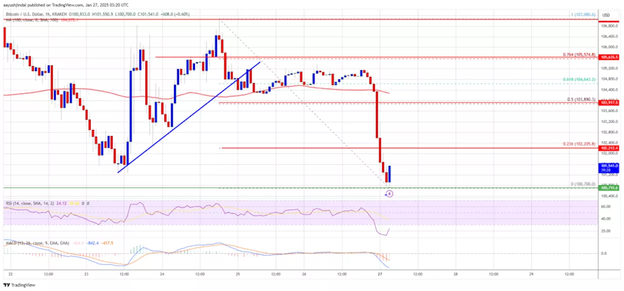 ราคา Bitcoin ลดลง แต่ใกล้ถึง 100,000 ดอลลาร์: Pullback หรือ Launchpad?