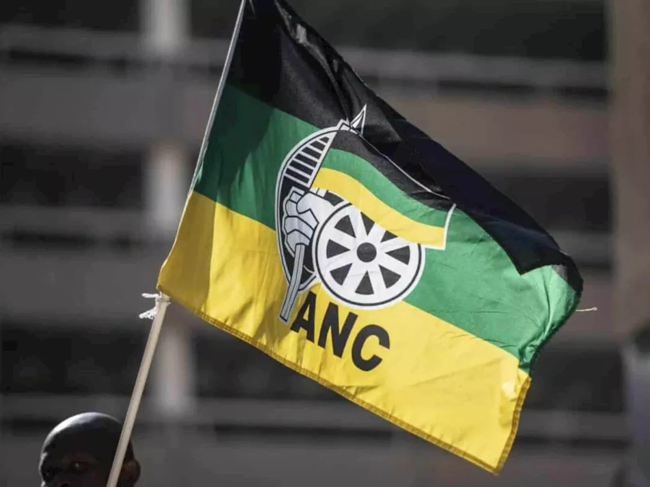 Former ANC MP Boy Mamabolo Takes Party to Court Over Removal From Provincial List