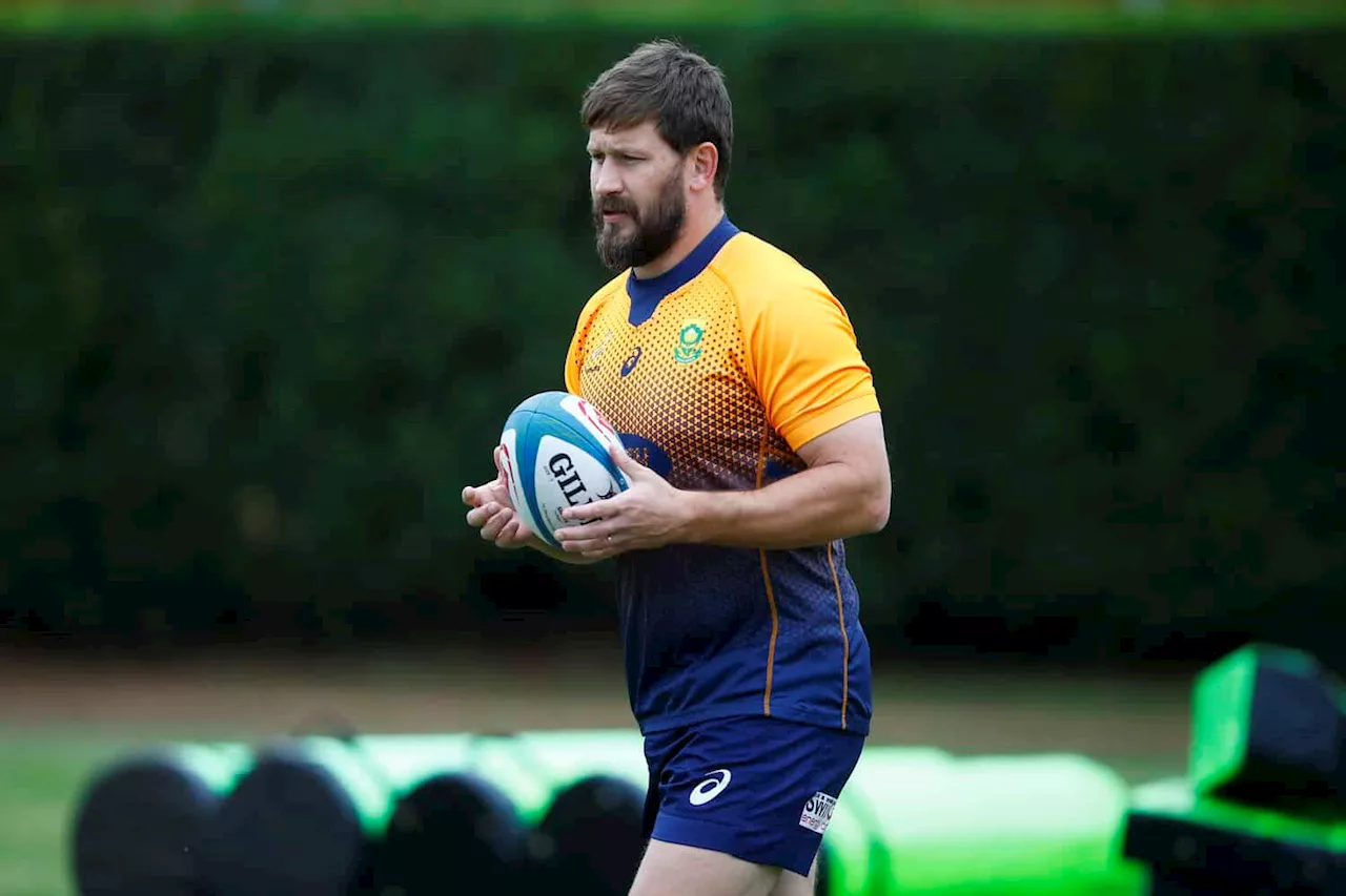 Frans Steyn to take charge of new-look Cheetahs coaching team — report