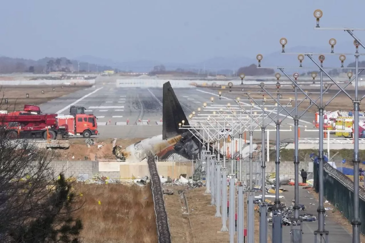 Jeju Air Crash Report Confirms Bird Strikes, Cause Remains Unclear