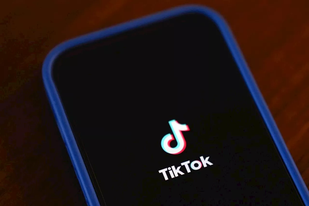 Perplexity AI Proposes US Government Stake in TikTok Merger