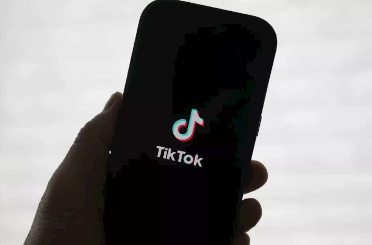 Perplexity AI Proposes US Government Stake in TikTok Merger