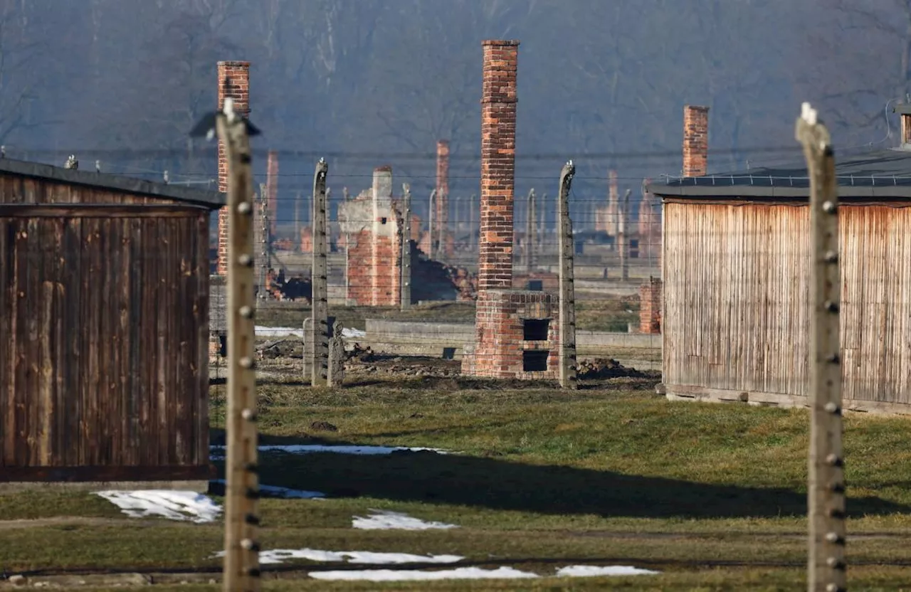 World Marks 80th Anniversary of Auschwitz Liberation