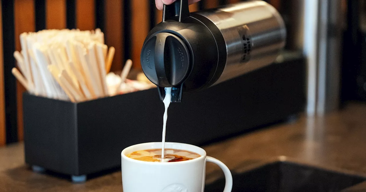 Starbucks Restores Free Refills and Condiment Bar, Rolls Out Spring Menu Changes