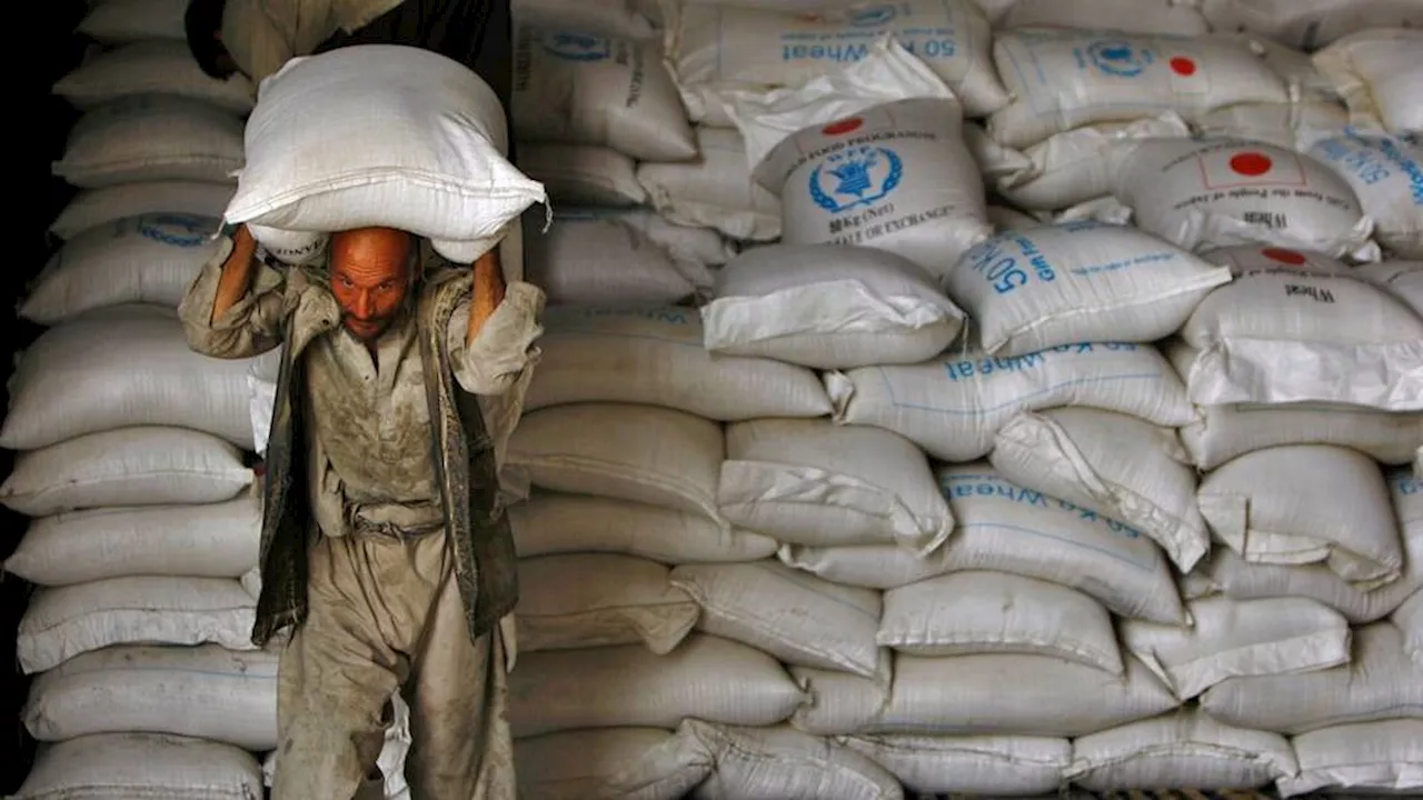 Afghanistan's Food Crisis Deepens as Aid Cuts Bite