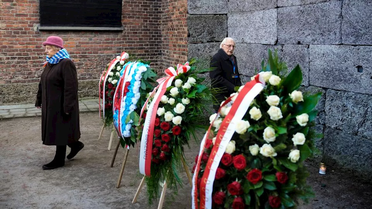 Auschwitz Marks 80th Anniversary of Liberation with Focus on Survivors