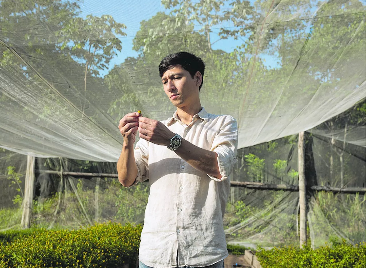 Modelo de Negócio Sustentável na Amazônia: Valorizando Ingredientes Ancestrais