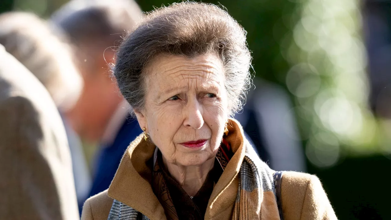 Princess Anne Recalls 'Nothing' of Horse Incident, Emphasizes Daily Gratitude