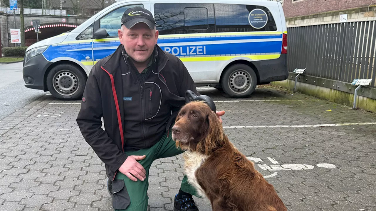 Hofhund Asko reist unfreiwillig mit der Bahn nach Münster