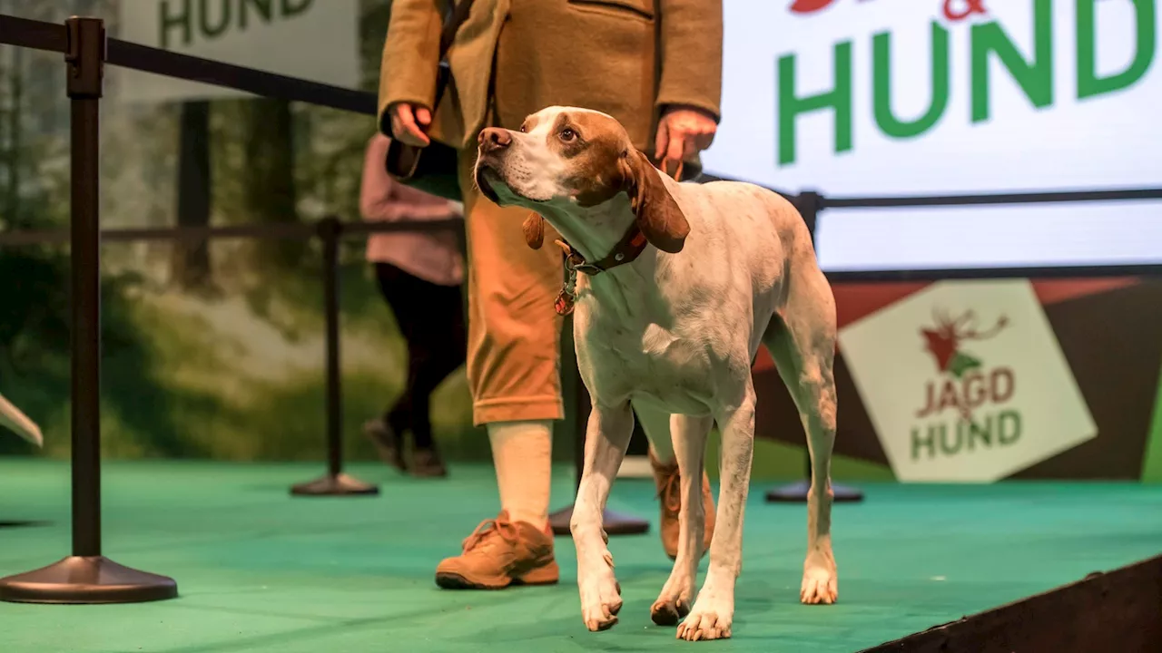 Jagd & Hund Messe in Dortmund startet