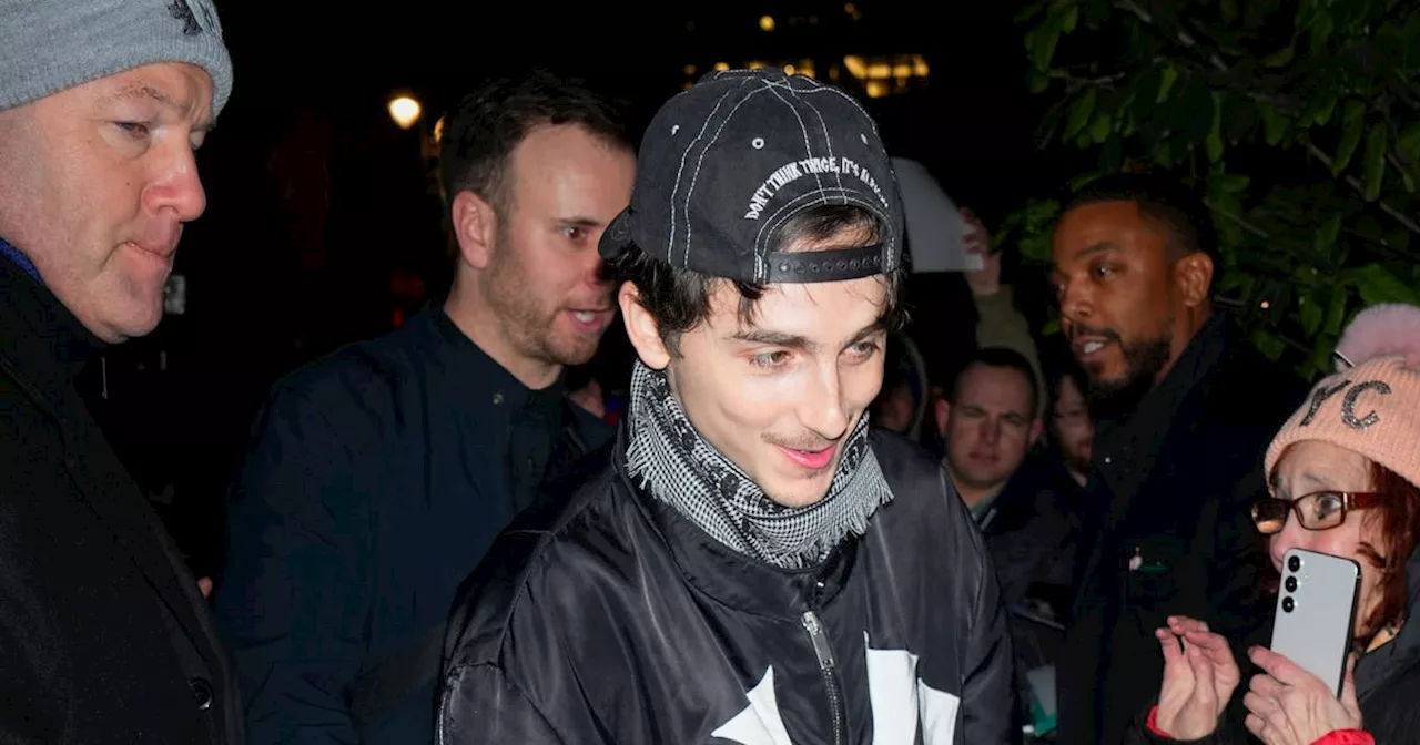 Timothée Chalamet Revives the Iconic Alexander McQueen Skull Scarf