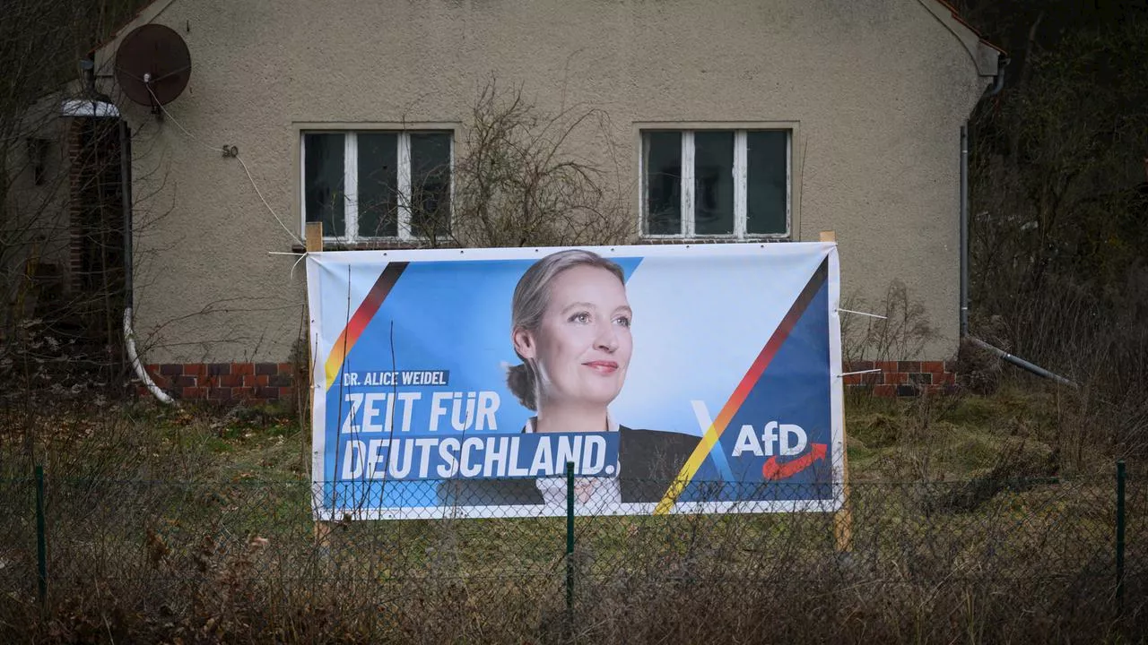 Millionaire's Donation to AfD Raises Questions