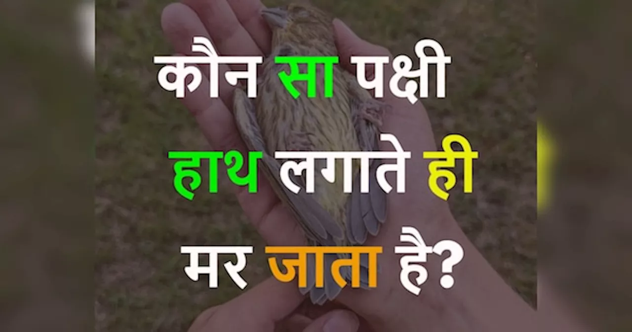 जनरल नॉलेज: जरूरी क्यों है और कैसे बढ़ाएं