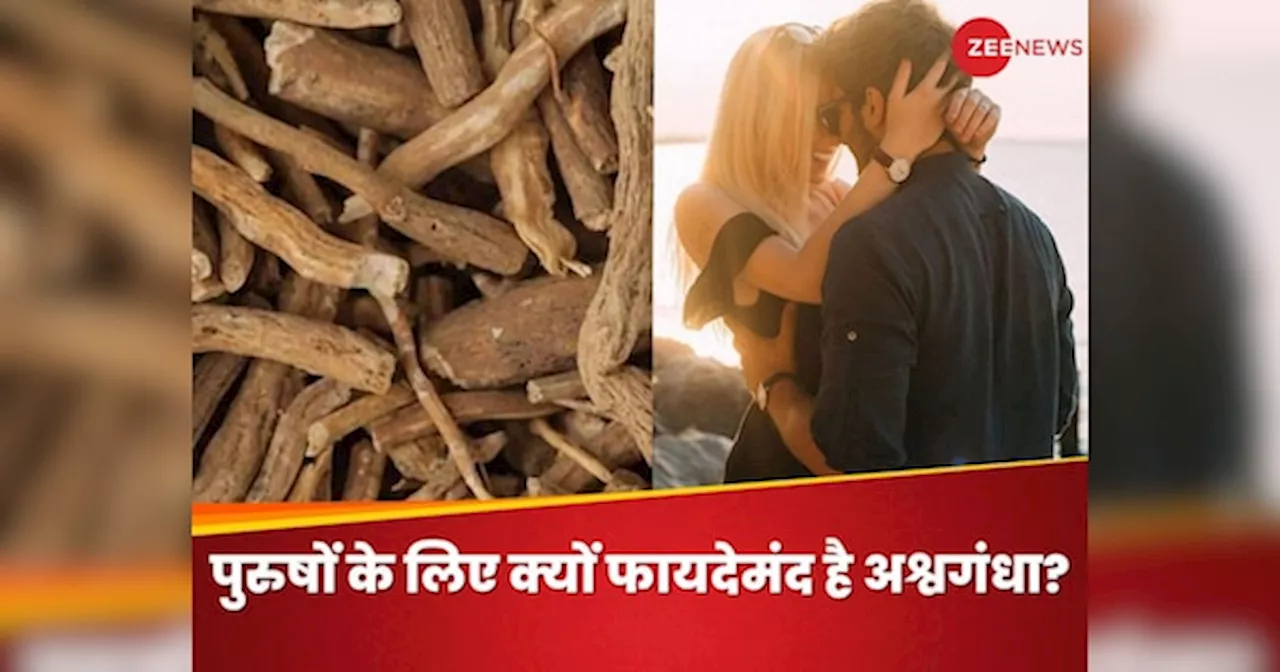 Ashwagandha For Male Fertility: अश्वगंधा से बढ़ती है मर्दों की ताकत, इन परेशानियों में बनता है आपका सच्चा दोस्त