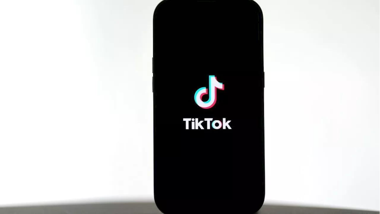 Perplexity AI Proposes Merger with TikTok, Granting US Government 50% Ownership